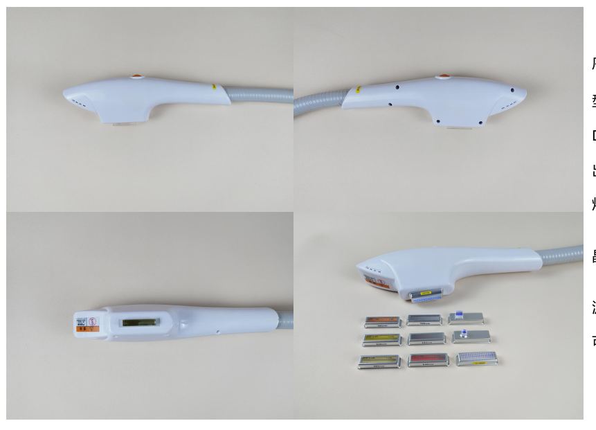 DPL新款宝石鱼型